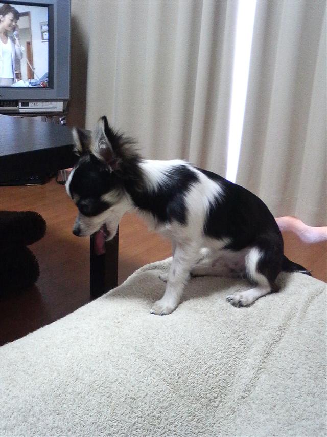 ♡�@�|�`�������ώ@�@♡