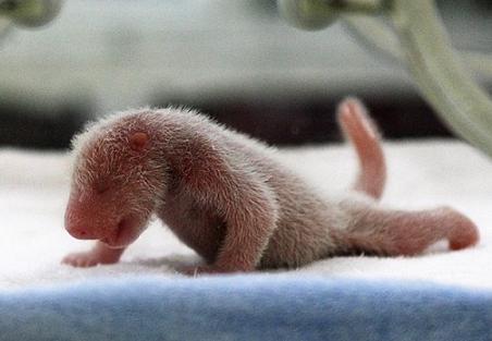 ♡�@�|�`�������ώ@�@♡