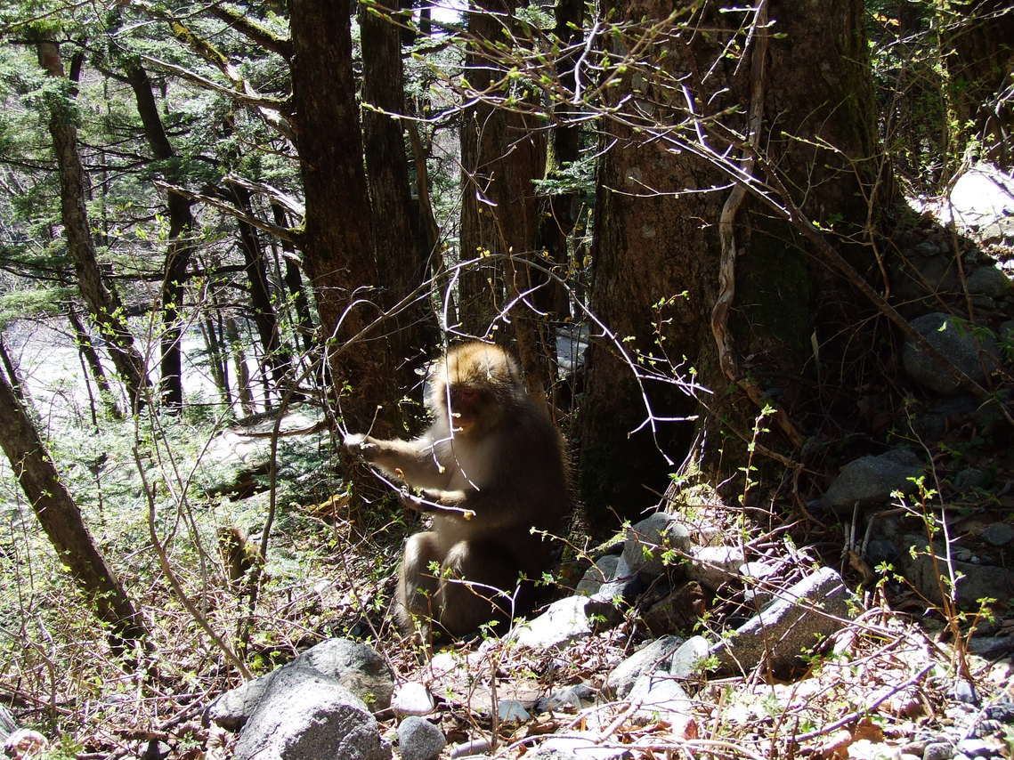 �C�G���[�@�t�����[