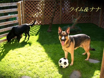 �����̃��C���N