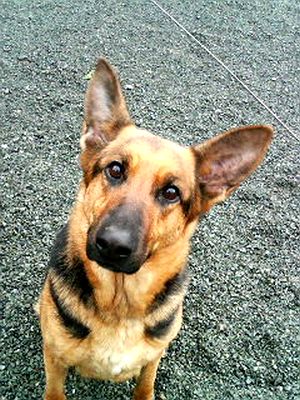 �����̃��C���N