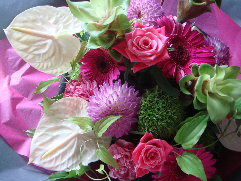 �q�`�h�m�@�@�������������������������������� ������