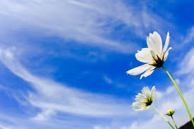 A}`AƁE됶̕so