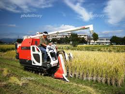 ̌ɌlȏiA}`AƁE됶̕soj