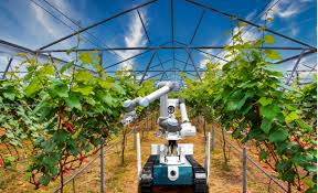 iޔ_Ɨp{bgiA}`AƁE됶̕soj