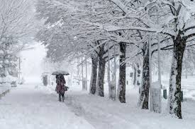 uvłiA}`AƁE됶̕soj