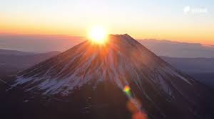 �A�}�`���A����ƁE�됶�̕s�o