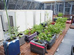 �A�}�`���A����ƁE�됶�̕s�o