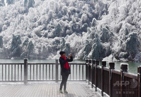 �劦�g�P���I�i�A�}�`���A����ƁE�됶�̕s�o�j