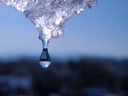 �A�}�`���A����ƁE�됶�̕s�o