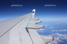 �A�}�`���A����ƁE�됶�̕s�o