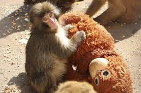 �A�}�`���A����ƁE�됶�̕s�o