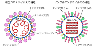 �A�}�`���A����ƁE�됶�̕s�o