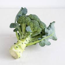 �A�}�`���A����ƁE�됶�̕s�o