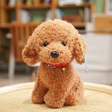 �A�}�`���A����ƁE�됶�̕s�o