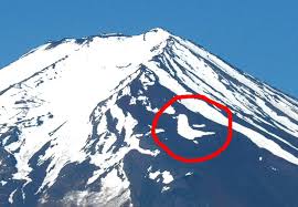 �A�}�`���A����ƁE�됶�̕s�o