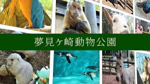 �A�}�`���A����ƁE�됶�̕s�o