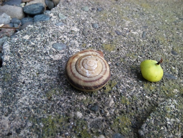 �g�C�v�[���ۂ��ʂ�!?