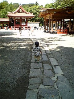 �V���[�x�b�g�̂�����