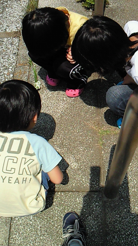 �V���[�x�b�g�̂�����