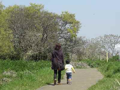 �V���[�x�b�g�̂�����