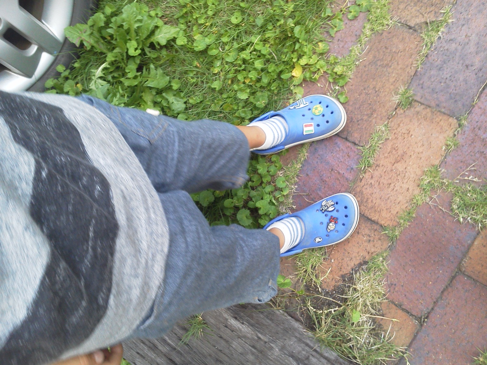 �V���[�x�b�g�̂�����