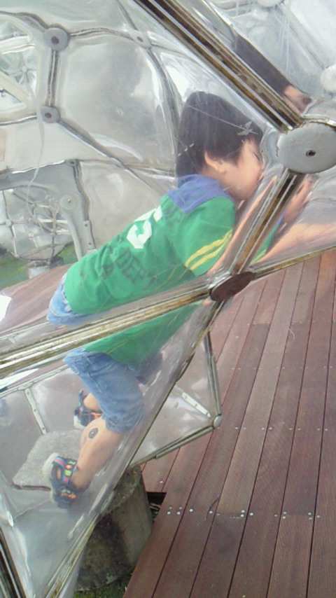 �V���[�x�b�g�̂�����