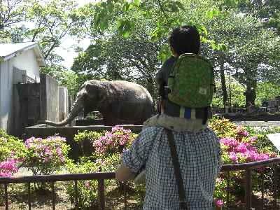 �V���[�x�b�g�̂�����