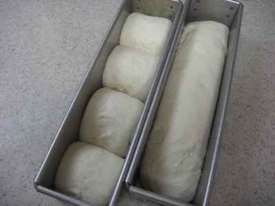 �V���[�x�b�g�̂�����