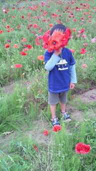 �V���[�x�b�g�̂�����