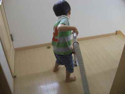 �V���[�x�b�g�̂�����