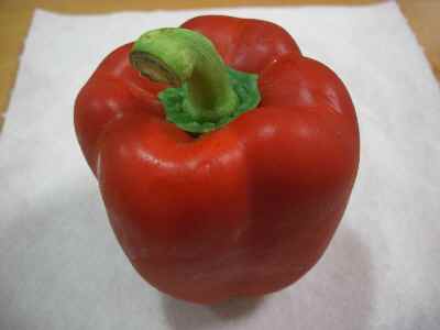 �V���[�x�b�g�̂�����