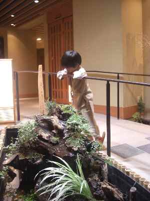 �V���[�x�b�g�̂�����