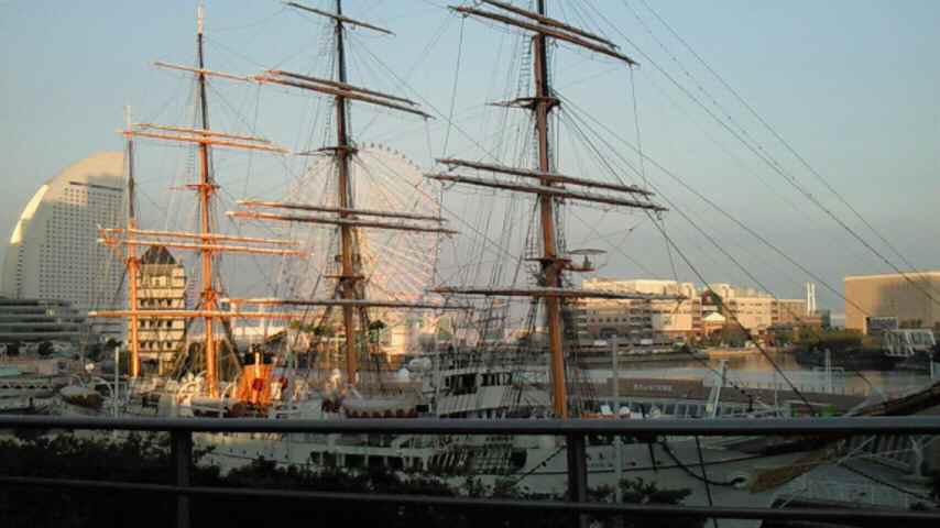 �V���[�x�b�g�̂�����