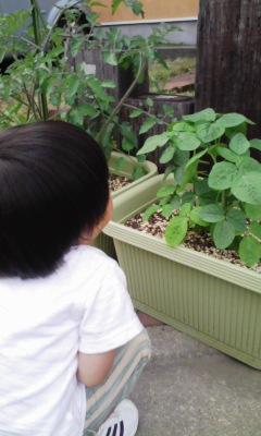 �V���[�x�b�g�̂�����