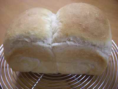 �V���[�x�b�g�̂�����