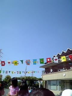 �V���[�x�b�g�̂�����