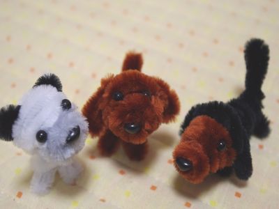 �V���[�x�b�g�̂�����