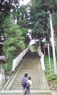 �V���[�x�b�g�̂�����