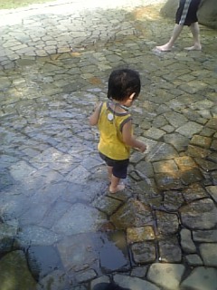 �V���[�x�b�g�̂�����