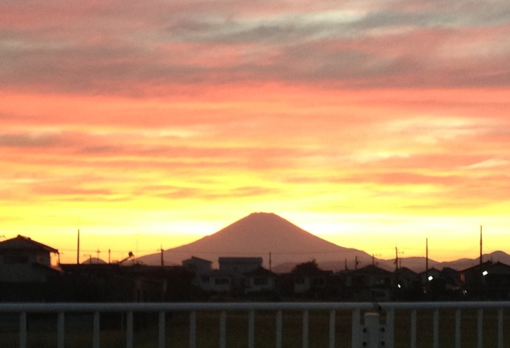 �V���[�x�b�g�̂�����