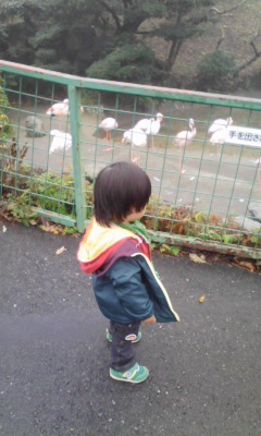 �V���[�x�b�g�̂�����