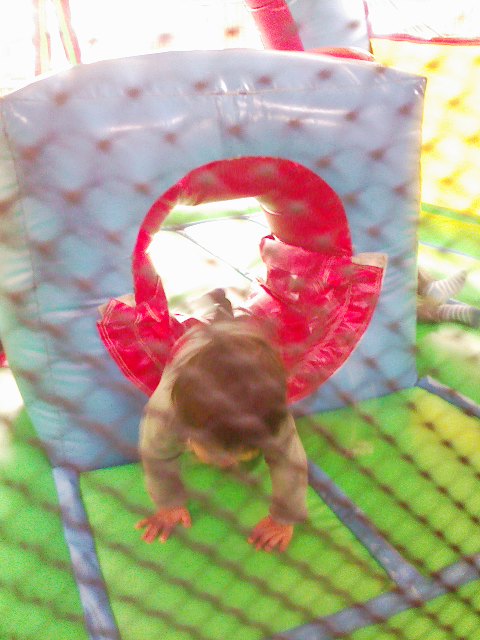 �V���[�x�b�g�̂�����