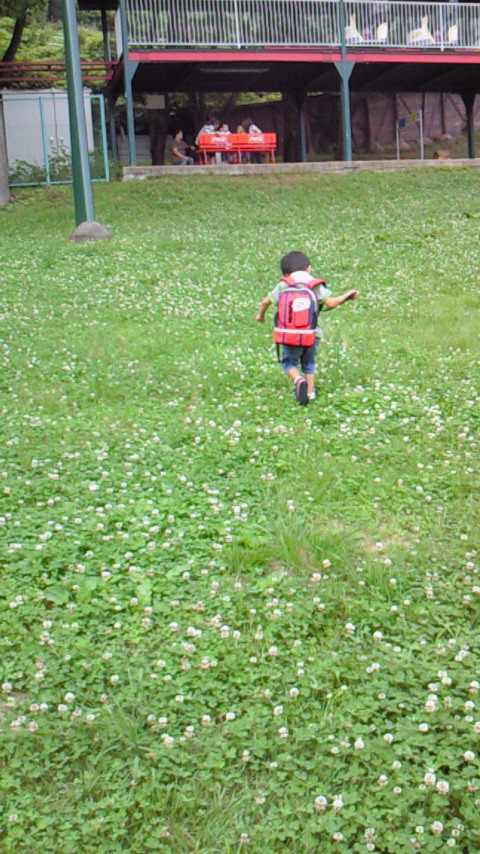 �V���[�x�b�g�̂�����