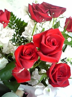 �V���[�x�b�g�̂�����