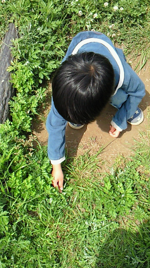 �V���[�x�b�g�̂�����