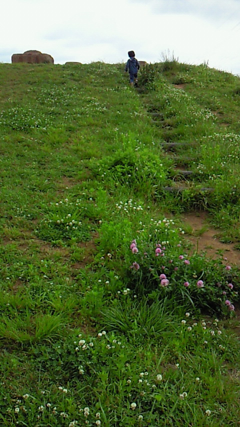 �V���[�x�b�g�̂�����