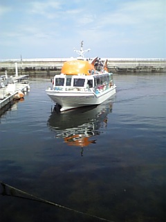 �V���[�x�b�g�̂�����