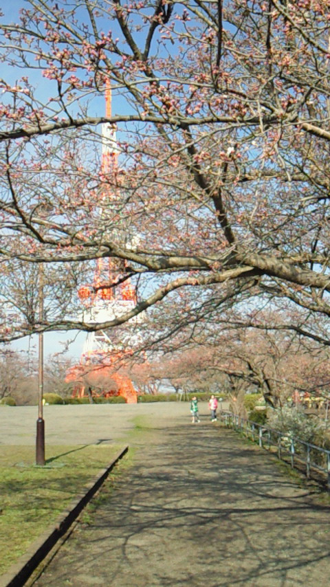 �V���[�x�b�g�̂�����