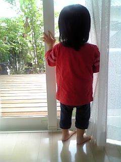 �V���[�x�b�g�̂�����